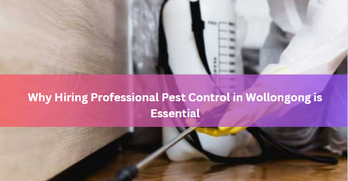Why Hiring Professional Pest Control in Wollongong is Essential